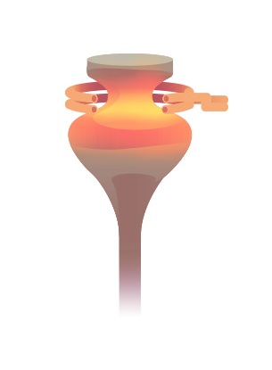 Induction Heating Custom Applications